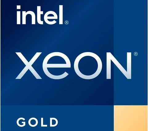 INTEL MAX IX24-256 HDD - Intel Xeon Gold 5412U, 256 GB DDR5 ECC, 8 TB - Starting at $525/month